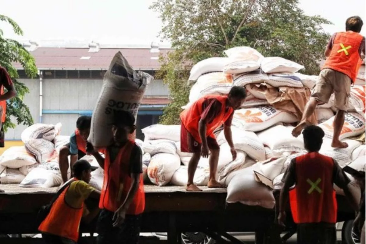 Cegah Kerugian, 380 Ribu Ton Beras Bulog Dilelang Jadi Tepung