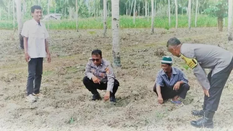 Gerak Cepat Pemda Touna Realisasikan MoU Energi Terbarukan