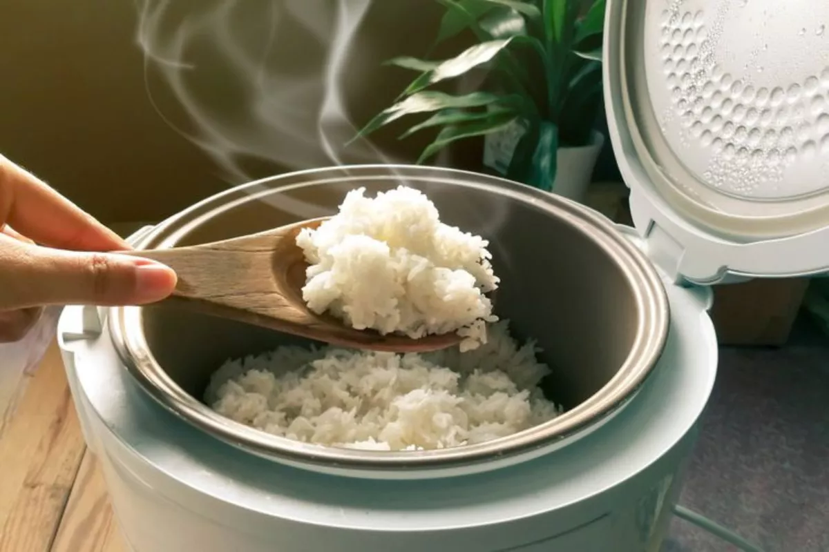 Cara Aman dan Mudah Membersihkan Rice Cooker di Rumah