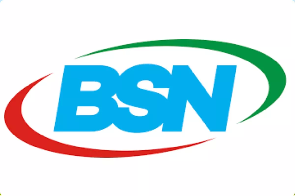 Serapan Anggaran BSN Capai 47,31 Persen hingga Mei 2026