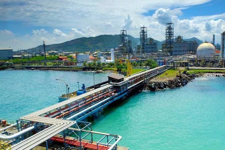 Tebar Dividen 8,5 Juta Dolar AS, Barito Pacific Perkuat Kapasitas Bisnis