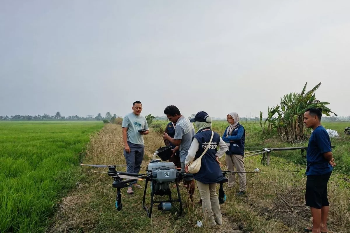 Kementrans: Drone Pangkas Biaya Semprot Petani Merauke Hingga 90 Persen
