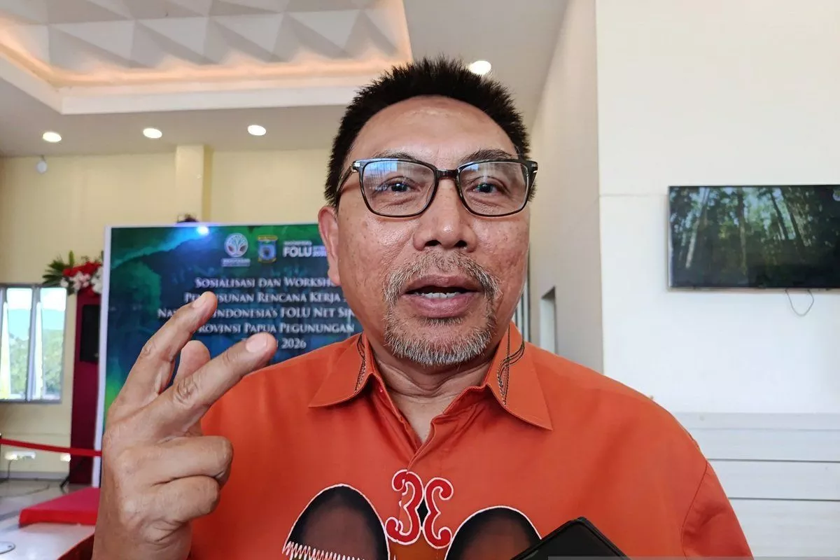 Upaya Tekan Emisi, Papua Pegunungan Jadi Benteng Hutan Tropis