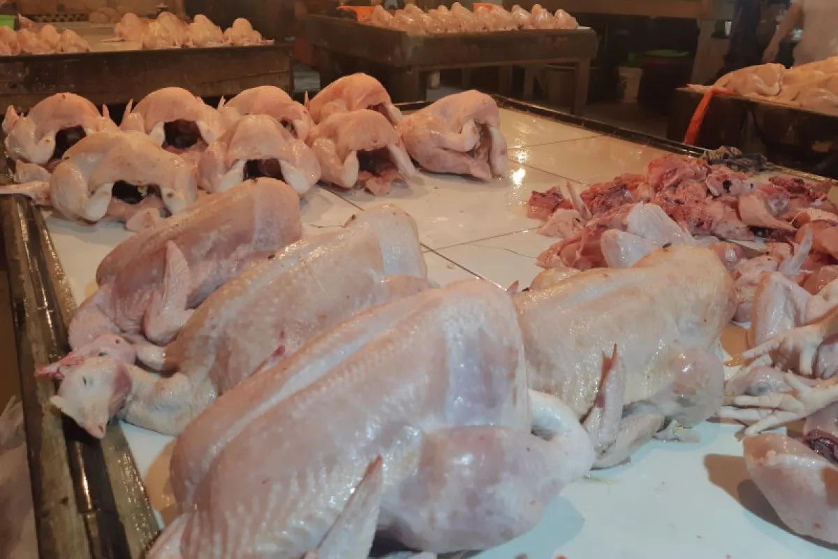 Kenaikan Harga Telur dan Daging Ayam di Jabar Dipicu Program MBG
