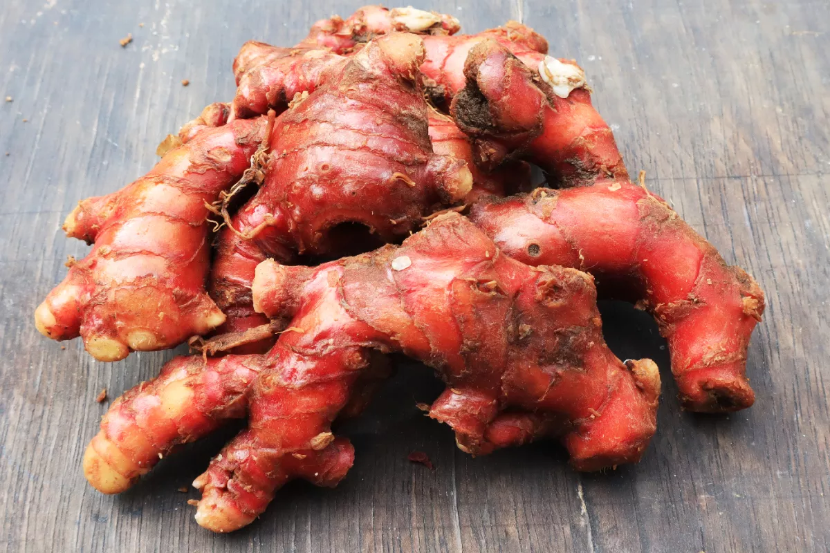 Resep Minuman Sehat untuk Meningkatkan Daya Tahan Tubuh Alami