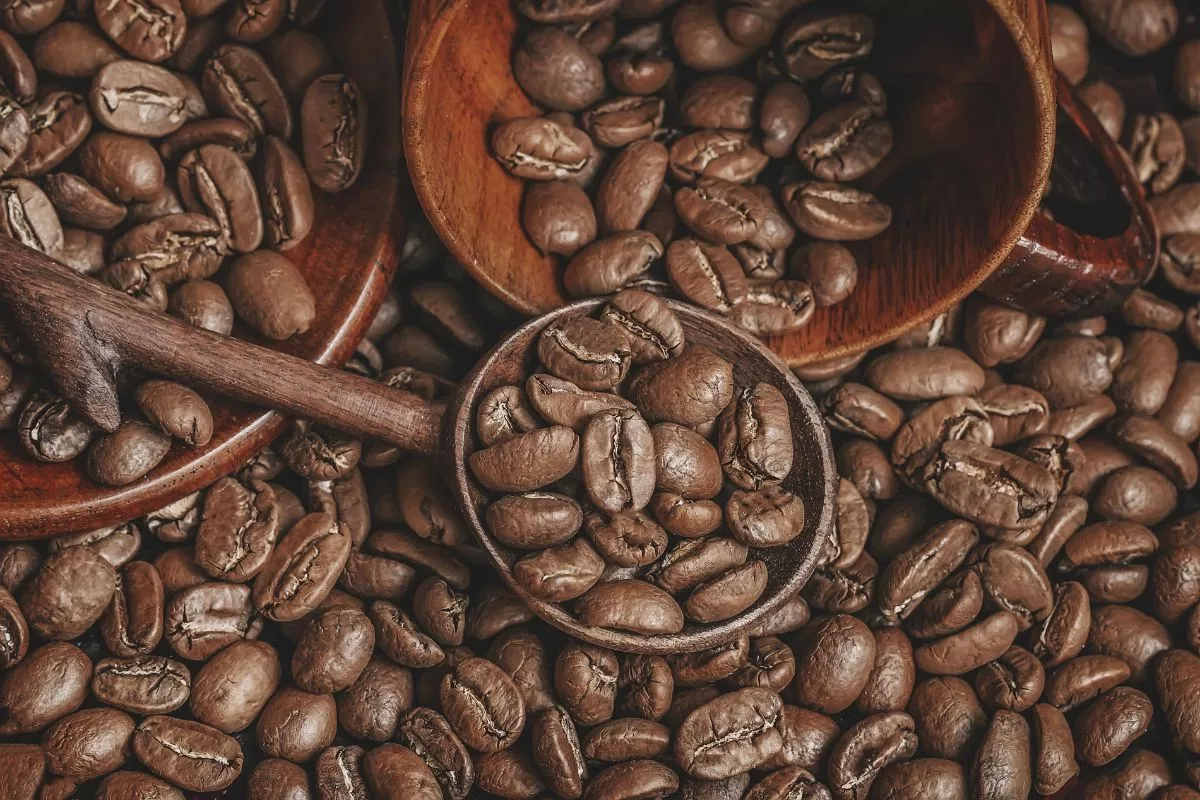 Curah Hujan Tinggi di Brasil Dorong Kenaikan Harga Kopi Arabika