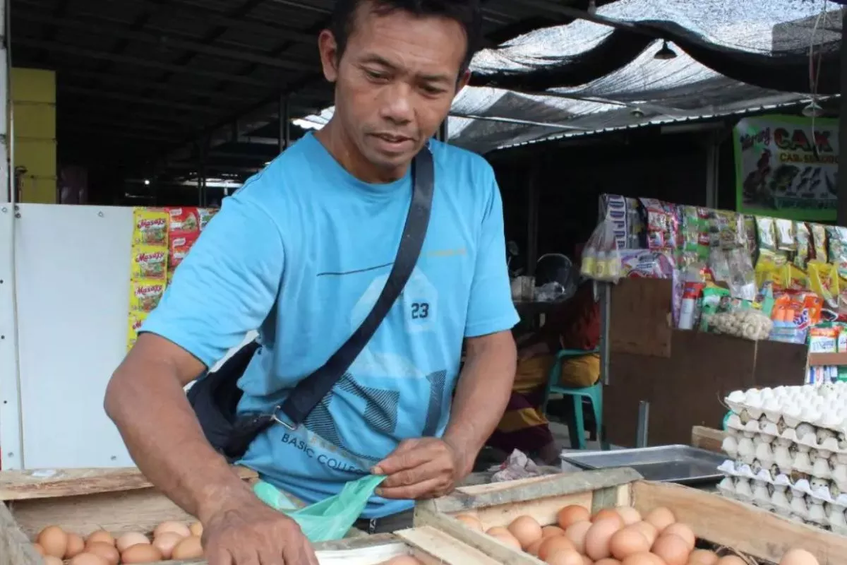Harga Telur Lesu, Mentan Ancam Cabut Izin Importir Pakan Nakal