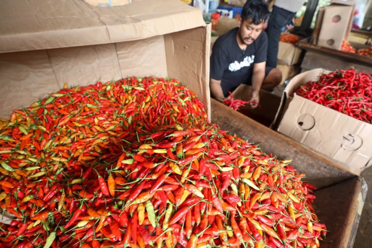 Update Harga Pangan Hari Ini Selasa: Cabai Rawit Merah Capai Rp67.650 per Kg