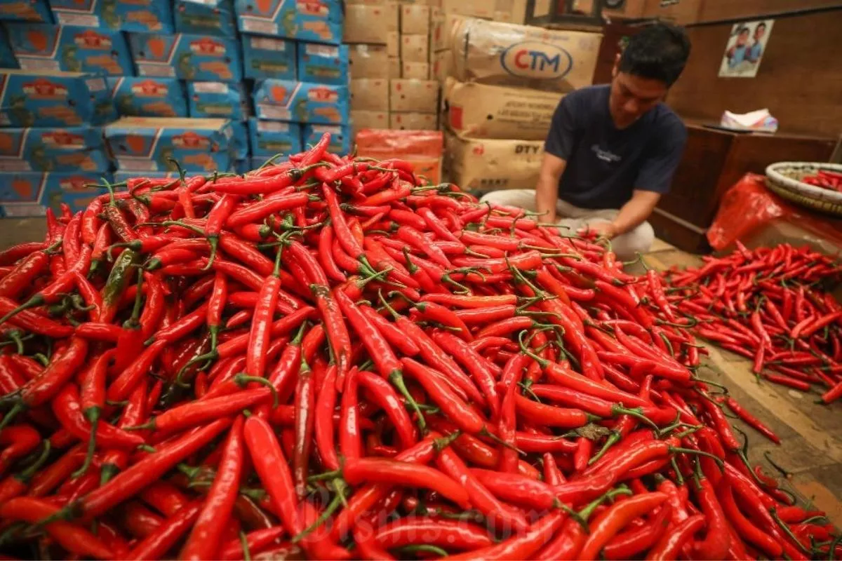 Daftar Harga Pangan 21 Agustus 2026: Cabai Rawit Merah Naik 10%
