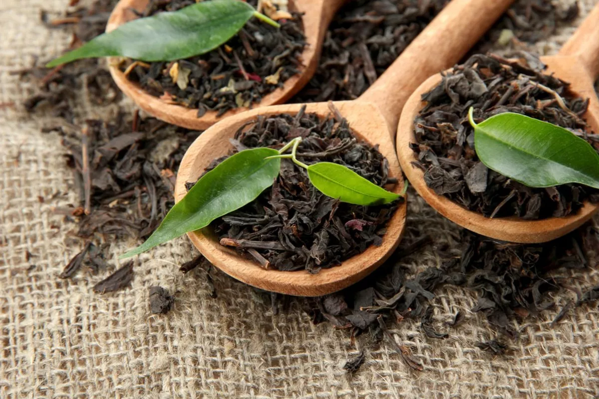 Pengaruh Kopi dan Teh Terhadap Kepadatan Tulang Menurut Riset