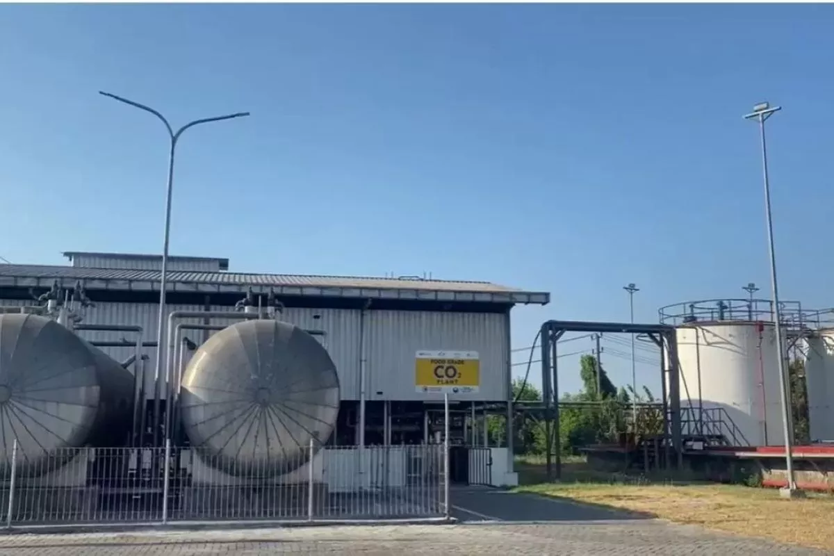 Kemdiktisaintek-Pertamina Garap Bioetanol dari Tandan Sawit