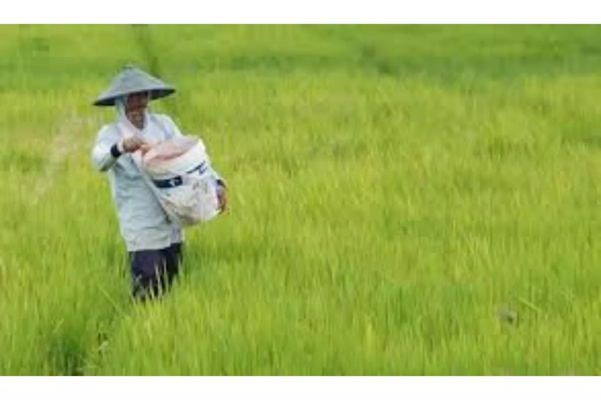 Potensi Startup Agrotech Indonesia: Revolusi Digital Di Sawah Rakyat