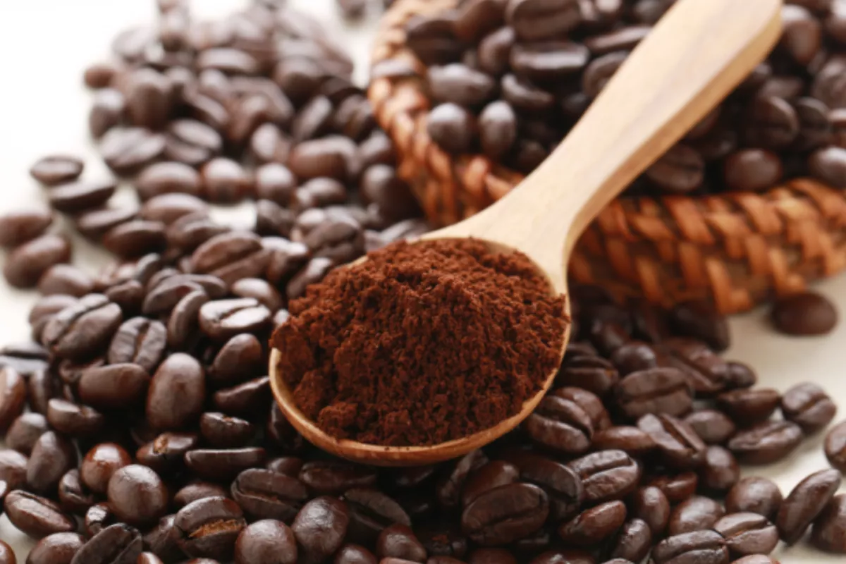 Harga Kopi Robusta dan Arabika Internasional Melonjak Tajam Hari Ini