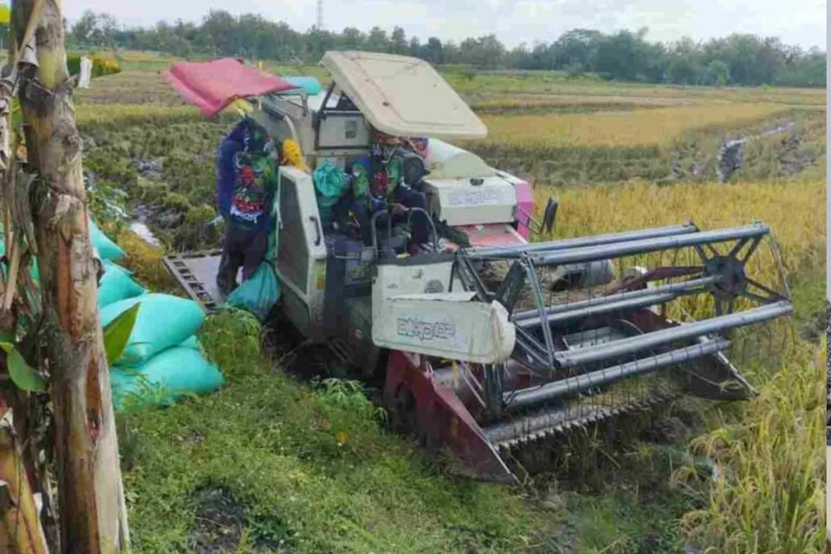 Ekonomi Bojonegoro Kini Ditopang 16 Sektor Nonmigas