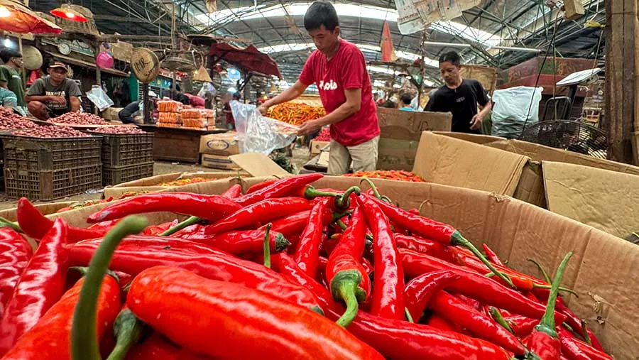Harga Pangan Hari Ini: Cabai Rawit Merah Sentuh 100.000 Rupiah per Kilo