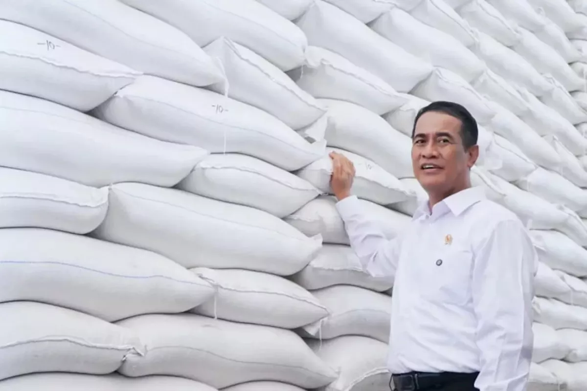 Mentan Amran Pastikan El Nino Tak Ganggu Ketahanan Pangan Nasional