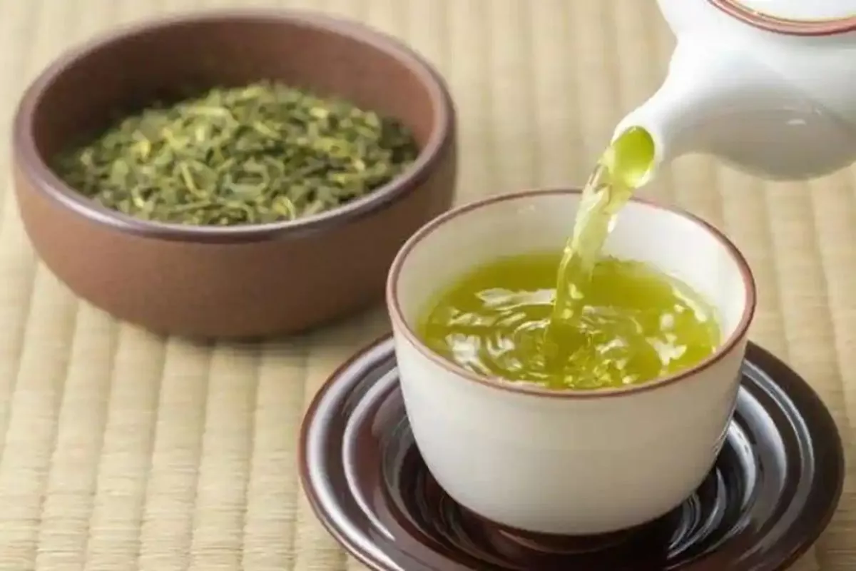 Penyebab Tak Semua Orang Cocok Minum Teh Hijau Saat Perut Kosong