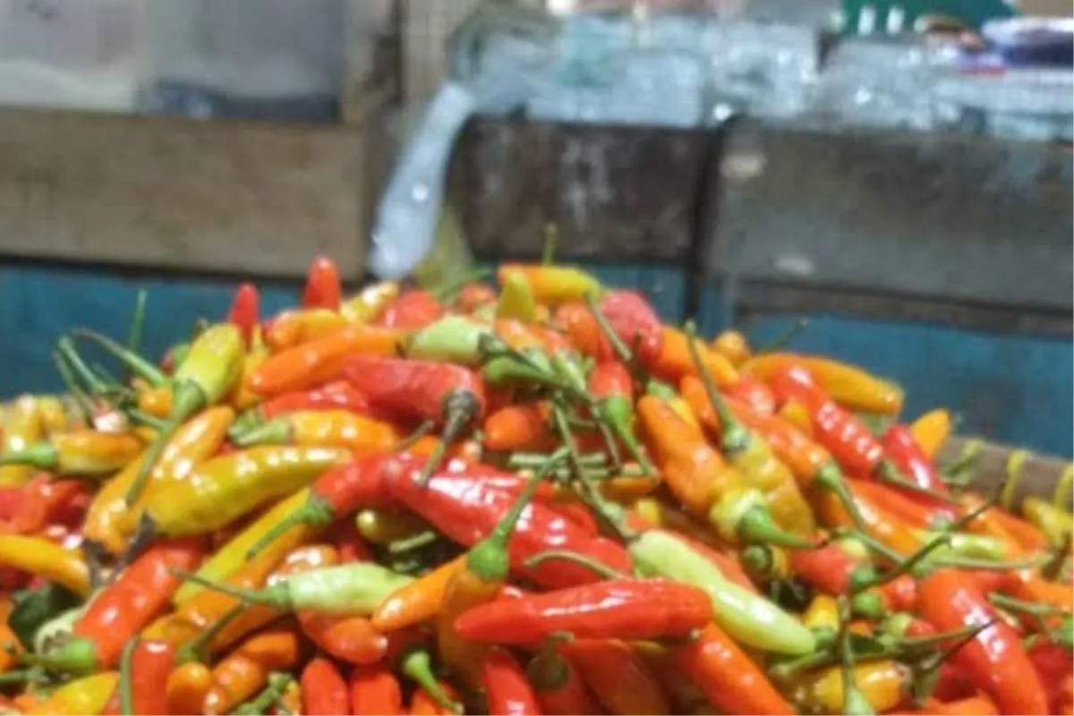 Harga Pangan Kamis 9 Juli: Cabai Turun, Daging Ayam Naik Tipis