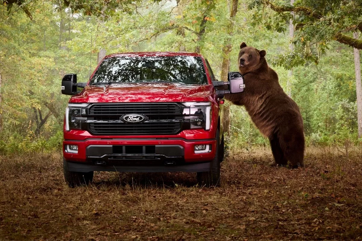 Simulasi Keamanan Ford F-150 Libatkan Beruang Kodiak 363 Kg