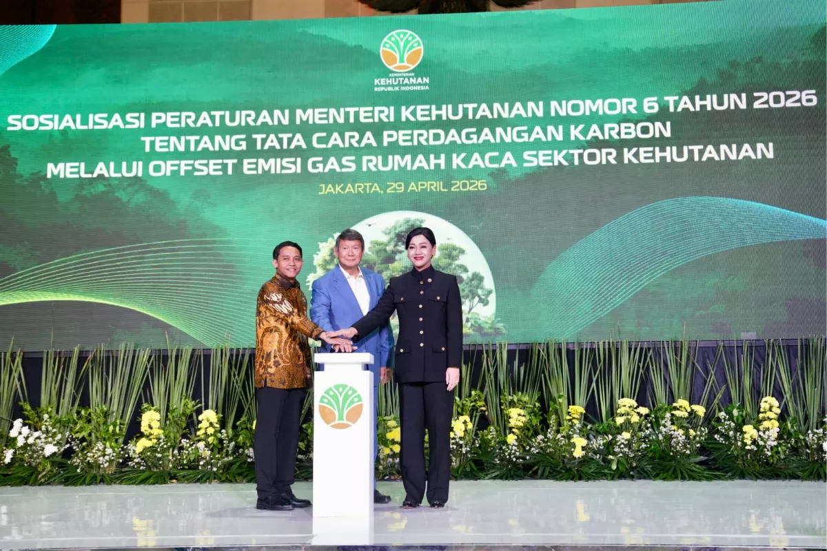 Perdagangan Karbon Kehutanan Perkuat Target Penurunan Emisi RI
