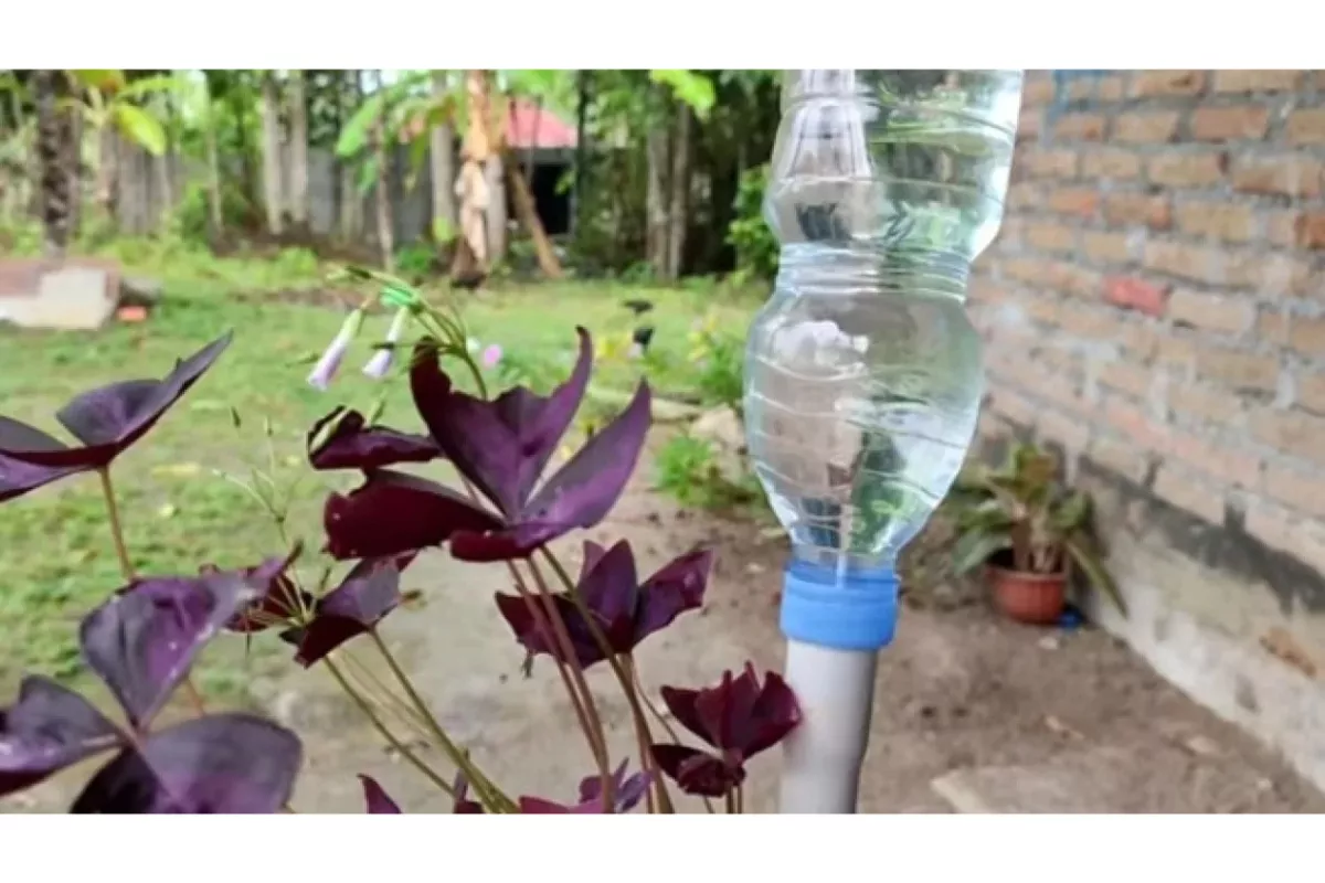 Cara Membuat Alat Penyiram Tanaman Otomatis dari Botol Plastik Bekas