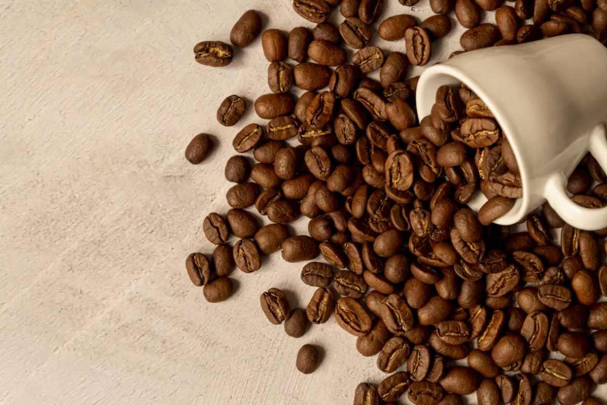 Panduan Lengkap Cara Memilih Biji Kopi Berkualitas Terbaik