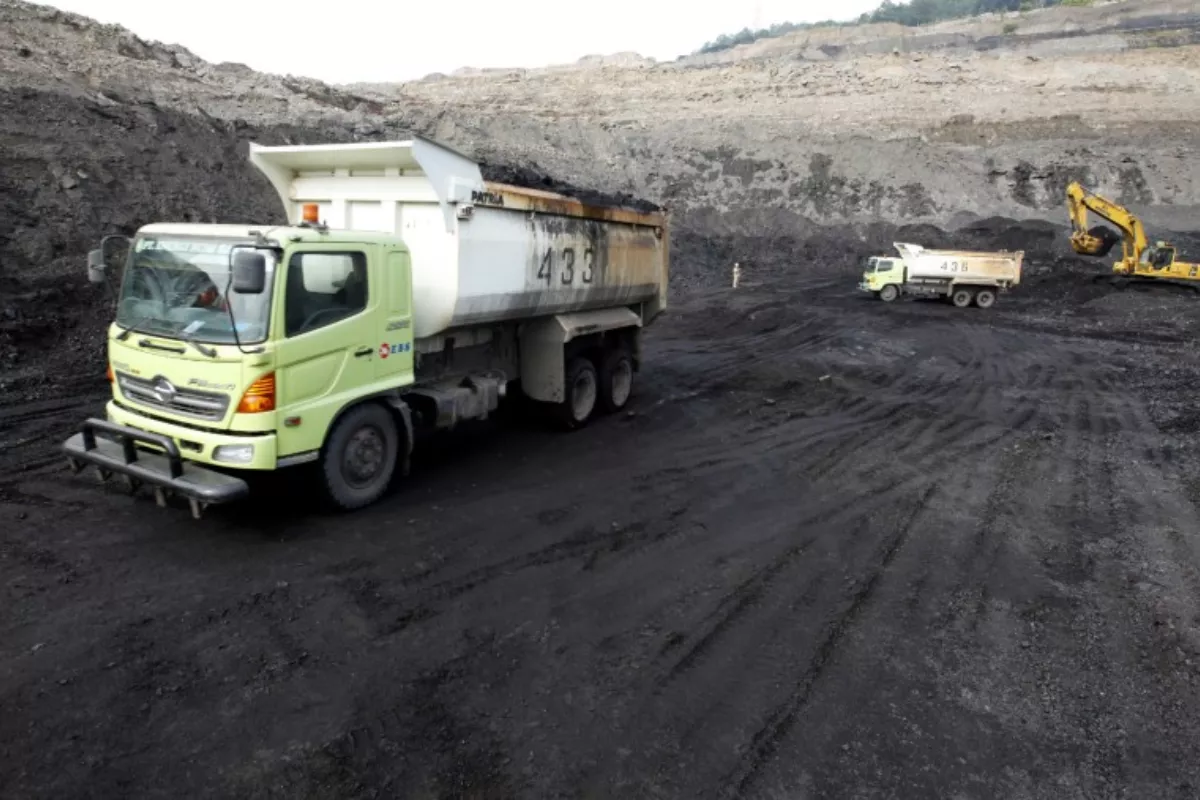 Resmi Ditetapkan, Harga Batu Bara Acuan RI Kompak Naik per Juli 2026