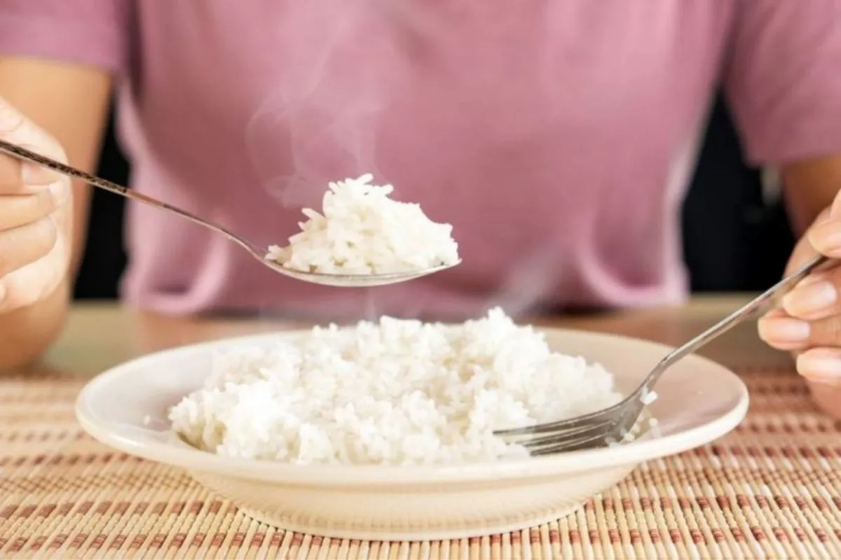 Kapan Waktu Terbaik untuk Makan Nasi, Pagi, Siang, atau Malam Hari?