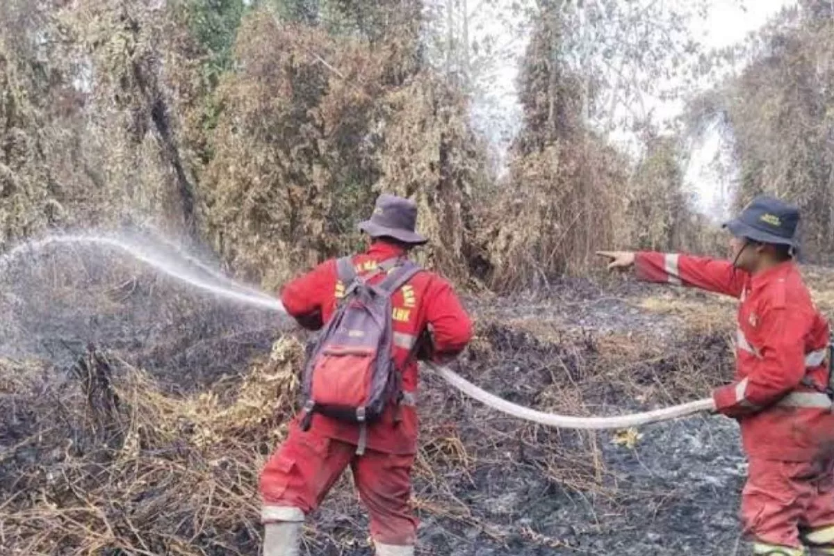 Cegah Karhutla, Kemenhut Buka Kanal Pengaduan Resmi bagi Masyarakat