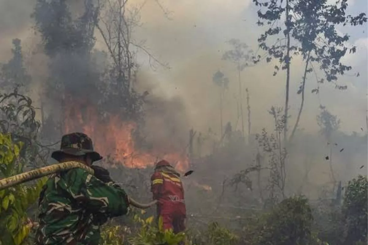 Dampak Kabut Asap Kalimantan: Sejumlah Penerbangan Batal dan Delay