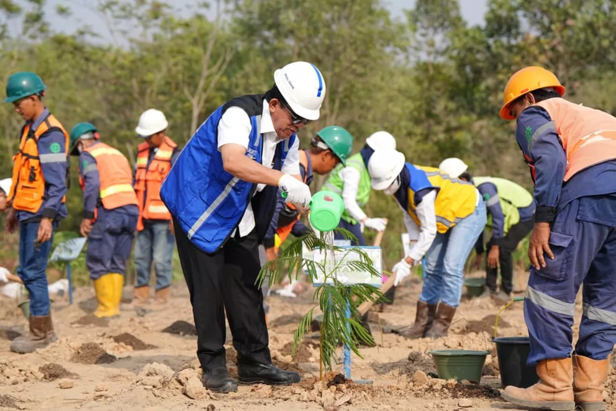 Inovasi UPNVY-PTBA: Kaliandra Merah Jadi Sumber Energi Berkelanjutan
