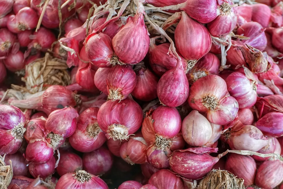 Bawang Merah dan Cabai Merah Jadi Penyumbang Deflasi