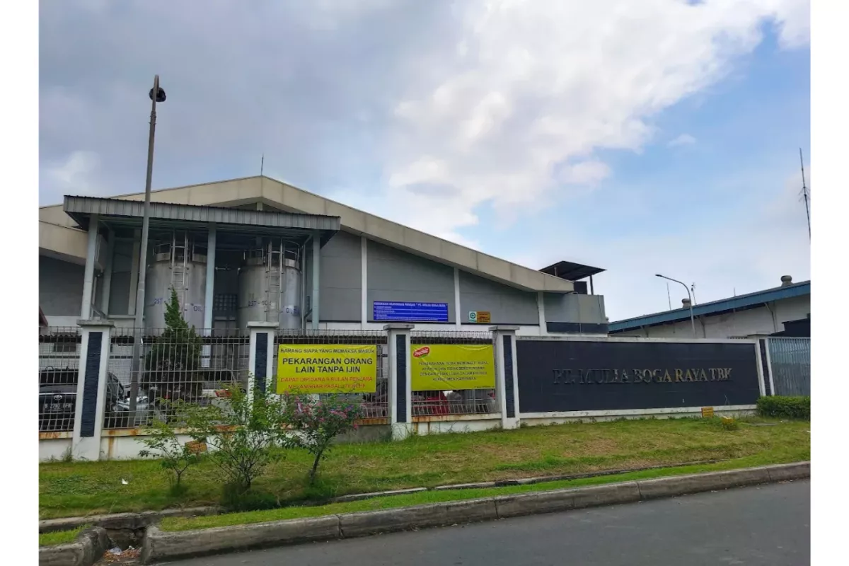 Insider KEJU Borong 200.900 Saham di Harga Rp 505 - Rp 520