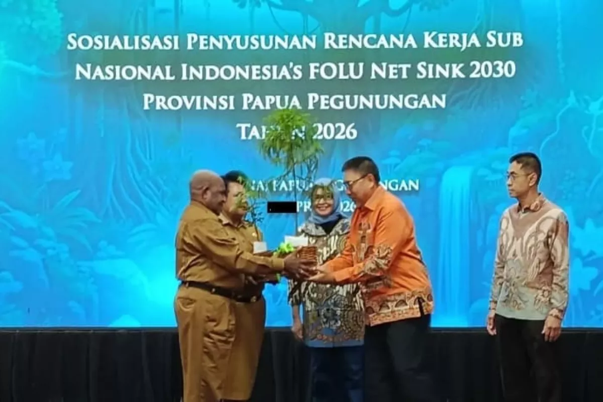 Papua Pegunungan Jadi Tiang Hijau Penyerap Karbon Nasional