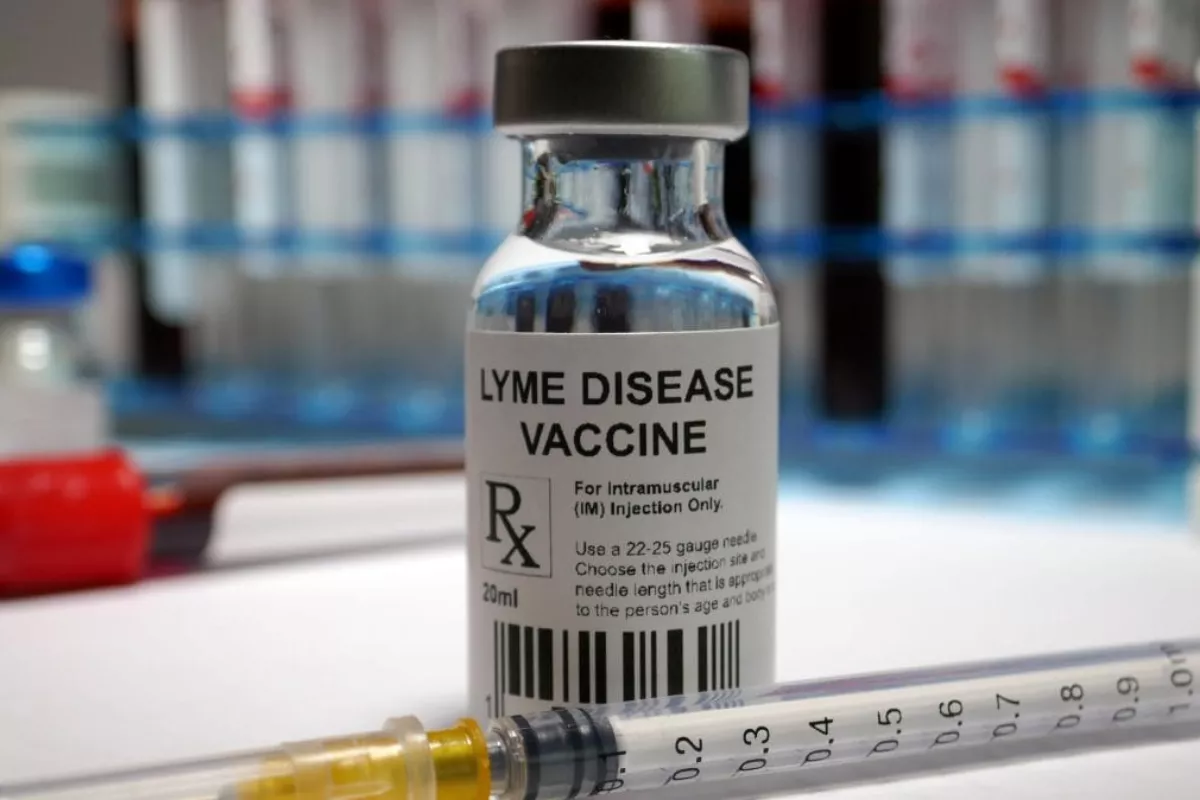 Valneva Melesat 15 Persen Setelah EMA Menerima Pengajuan Vaksin Lyme