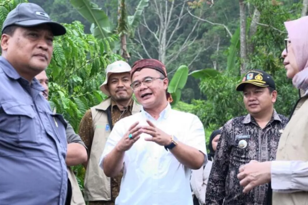 Papua Berpotensi Jadi Pusat Perdagangan Karbon Kehutanan