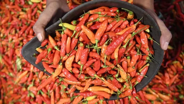 Harga Cabai Rawit Merah Rp 78.850 kg: Update Pangan Senin Pagi