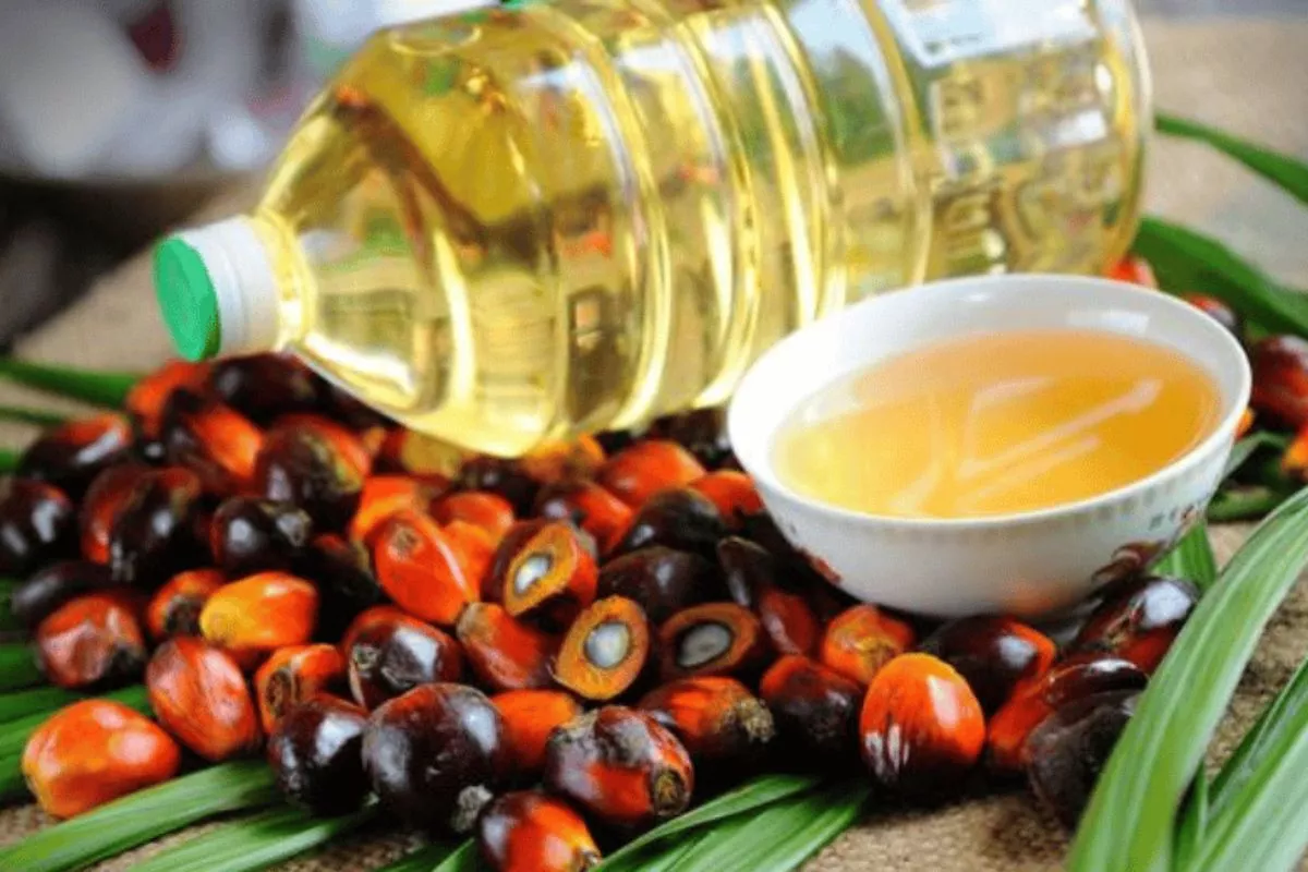 Mentan Klaim 90% Perusahaan Sawit Telah Sesuaikan Harga TBS ke Petani
