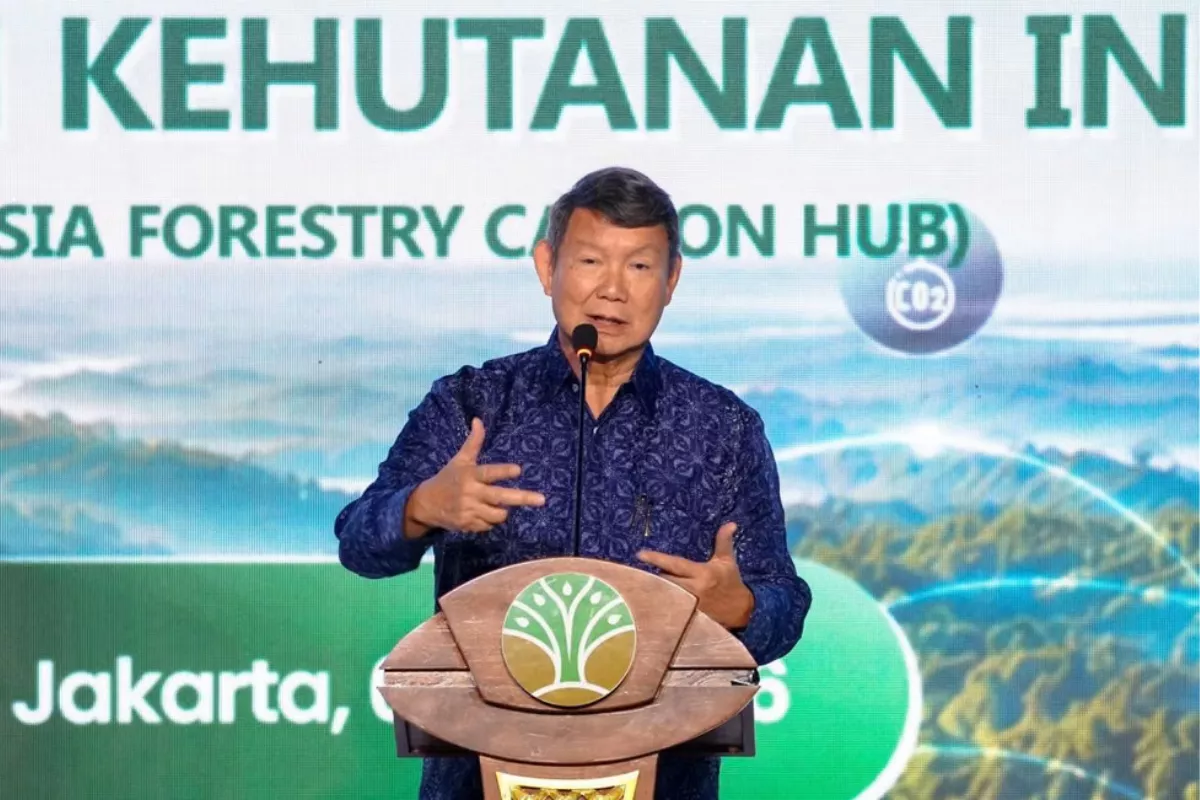 Hashim Djojohadikusumo: Perdagangan Karbon RI Kini Siap Diimplementasi