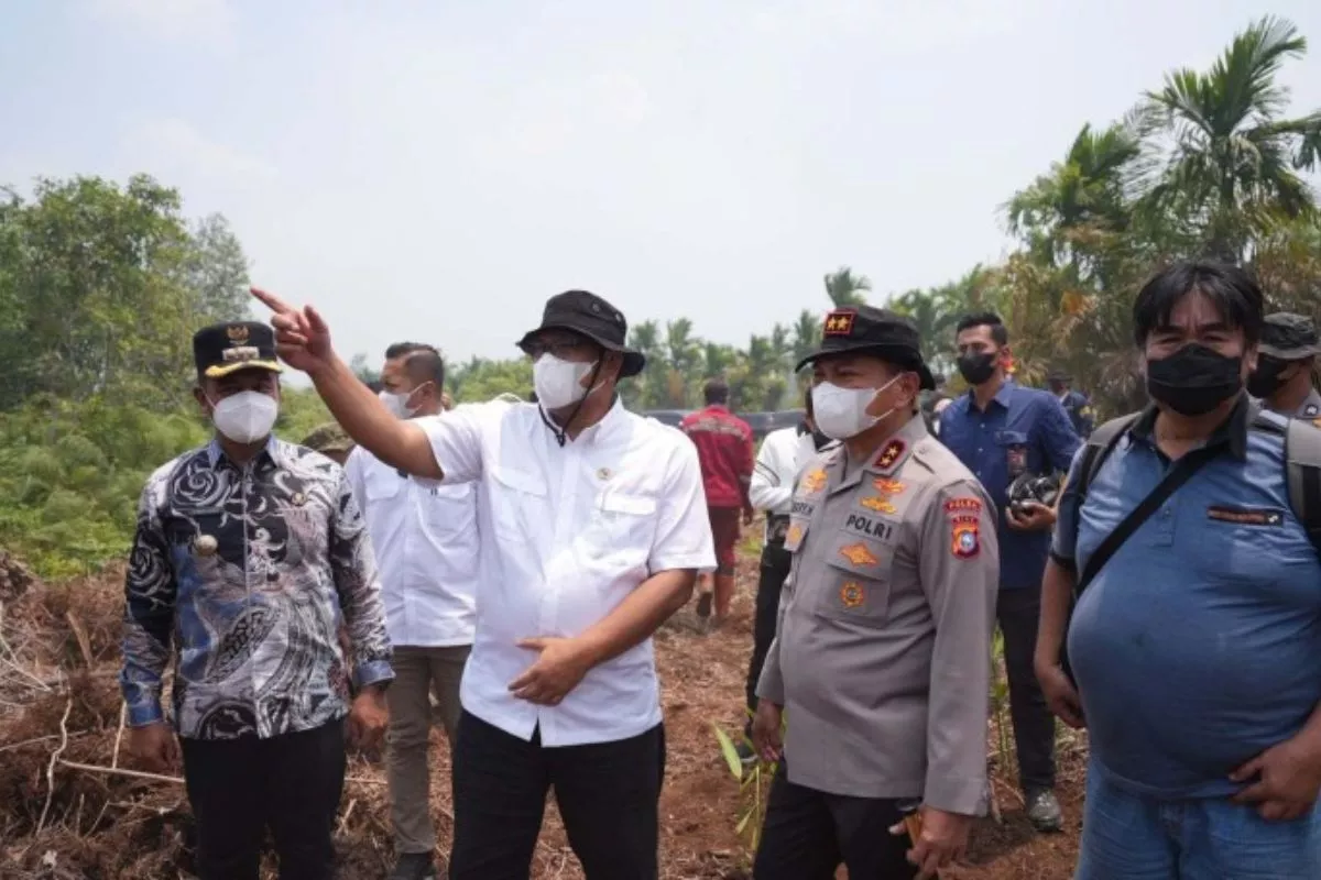 Menteri LH Tegaskan Tidak Ada Toleransi Bagi Pelaku Pembakar Lahan