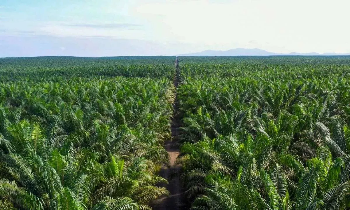Keputusan RUPST JARR Sepakat Sebar Dividen Tunai Rp60 Miliar