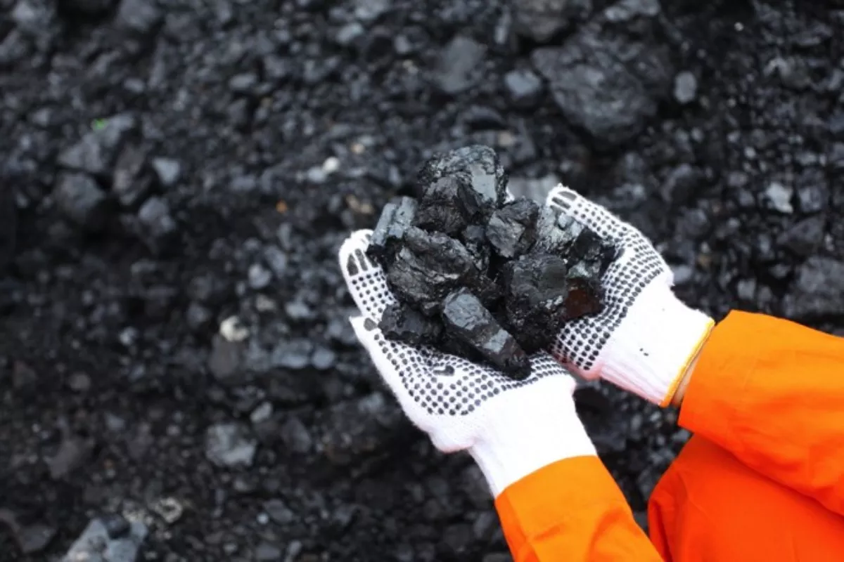 Harga Batu Bara Berjangka Jatuh Akibat Pelemahan Gas Alam