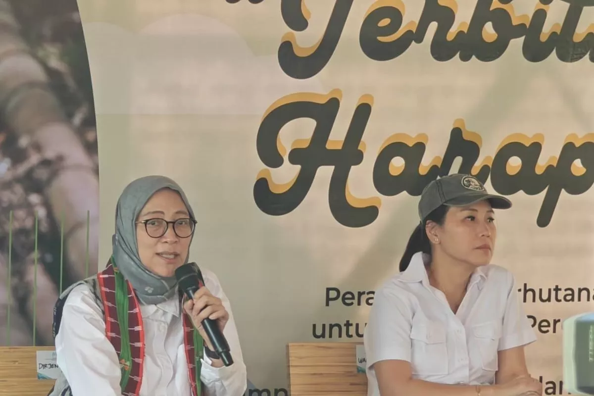 Akses Kelola Perhutanan Sosial di Riau Capai 201.880 Hektare