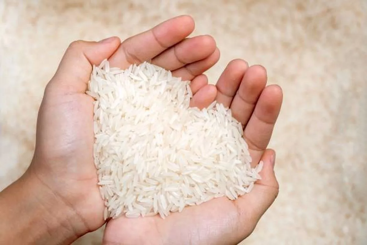 Harga Beras dan Komoditas Pangan di Bali Tercatat per 31 Agustus 2026