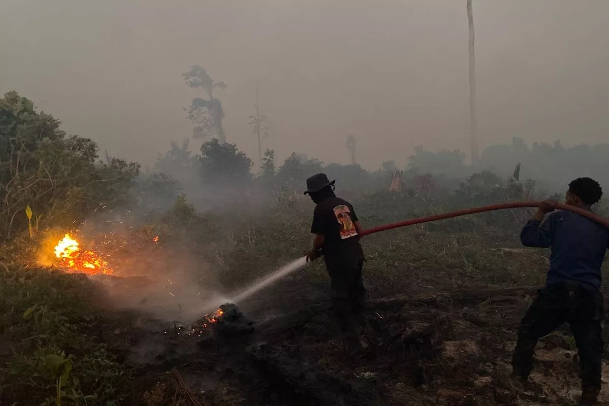 Pemerintah Tetapkan Operasi Darat Utama Guna Atasi Karhutla 6 Provinsi