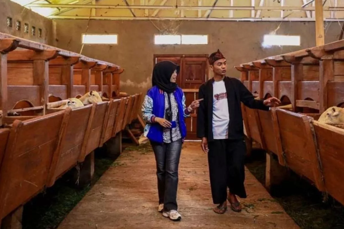 Hingga Juli 2026, BI Sukses Fasilitasi Pembiayaan UMKM Rp285 M
