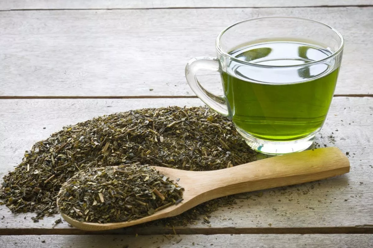 Riset Ungkap Teh Hijau dan Oolong Bikin Kombucha Tinggi Antioksidan