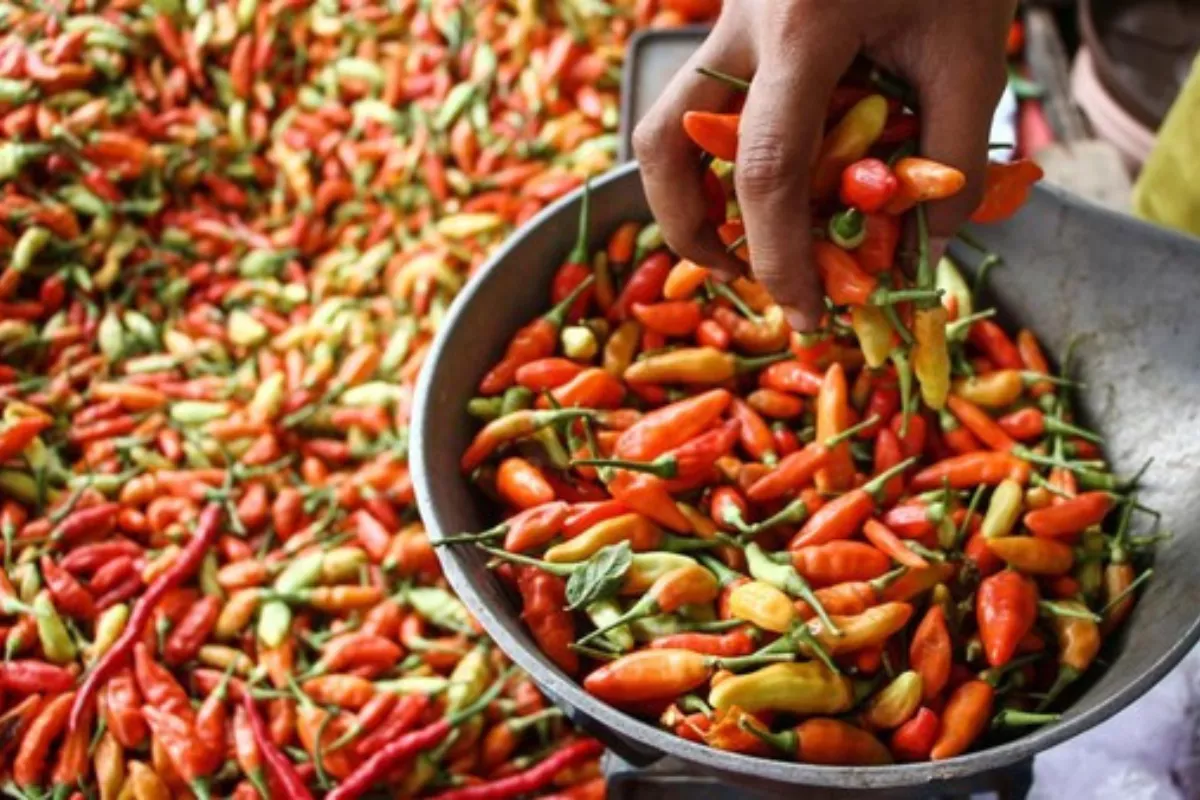 Daftar Harga Sembako Jatim 11 Mei: Cabai Rawit Tembus Rp67.406/kg