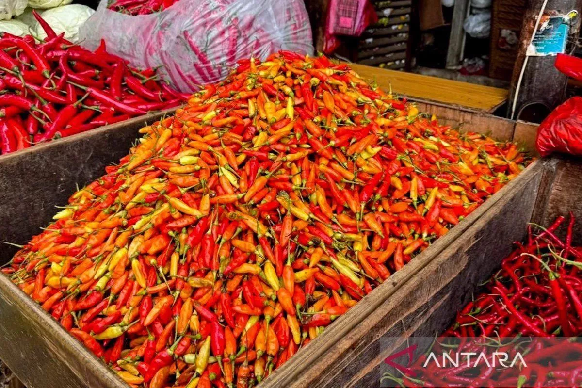 Harga Pangan Hari Ini: Cabai Rawit Rp77.300, Telur Rp31.800 per Kg
