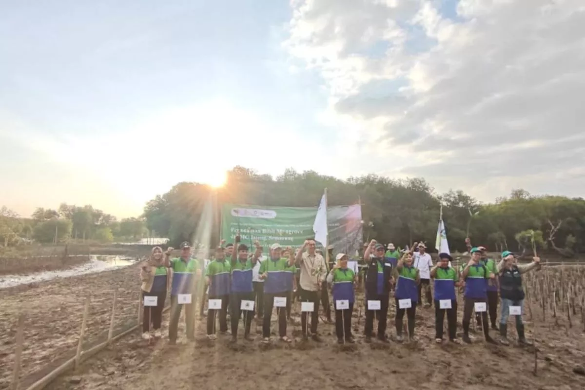 Aksi Peduli Lingkungan, Amdatara Tanam 250 Mangrove di Semarang